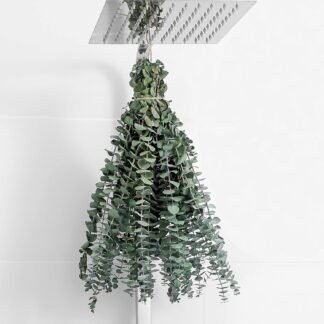 10 Pcs Dried Eucalyptus Stems 17 Real Eucalyptus for Shower Hanging 100 Made from Fresh Leaves Wedding Home Farmhouse DIY Spring Decor Bathroom Decor Home Decor - lunas-mystic-emporium.com 10 Pcs Dried Eucalyptus Stems 17" Real Eucalyptus for Shower Hanging 100% Made from Fresh Leaves, Wedding, Home, Farmhouse, DIY Spring Decor Bathroom Decor Home Decor