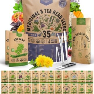 35 Medicinal & Tea Herb Seeds Variety Pack for Indoor & Outdoors. 16,335+ Non-GMO Heirloom Garden Seeds: Anise, Bergamot, Borage, Cilantro, Chamomile, Dandelion, Rosemary Seeds...