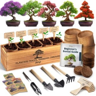 AVERGO Bonsai Tree Kit for Beginners – 5X Unique Japanese Bonzai Trees | Complete Indoor Starter Kit for Growing Bonsai Plants with Tools & Planters – Gardening Gifts for Women...