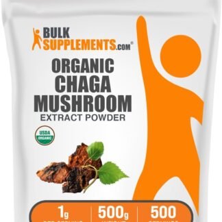 BulkSupplements.com Organic Chaga Mushroom Extract Powder - Organic Chaga Powder, Mushroom Supplement - Gluten Free, 1g per Serving, 500g (1.1 lbs) (Pack of 1)