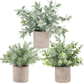 Der Rose 3 Pack Mini Potted Fake Plants Artificial Plastic Eucalyptus Plants Topiaries for Home Office Desk Farmhouse Room Bathroom Decor