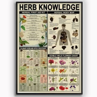 Herb Knowledge Metal Tin Signs Herbal First Aid Kit Infographic Poster Pharmacist Study Guide Tin Plaque Home Pharmacy Office Kitchen Wall Decor 8x12 Inches