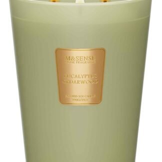 M&SENSE Eucalyptus & Cedarwood Scented Candle, 3 Wick 35oz Natural Soy Wax Candles for Home Scented, Green Candles Gift for Spring, 150 Hours Long Lasting Slow Burning