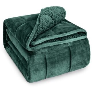 Wemore Sherpa Fleece Weighted Blanket for Adult, 15 lbs Dual Sided Cozy Fluffy Heavy Blanket, Ultra Fuzzy Throw Blanket with Soft Plush Flannel Top, 60 x 80 inches, Green on...