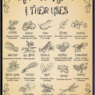 YELLOWBIRD ART & DESIGN Witchcraft Herb Kitchen Wall Art & Decor - Black magic Home Decor - Witchy Room Picture - Wiccan Artwork - Gothic Home Print - Witch Wicca Witchcraft...