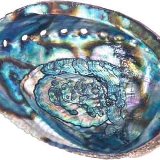 Abalone Shell Smudging Bowl Seashell Incense Burner, 5-6 Inches