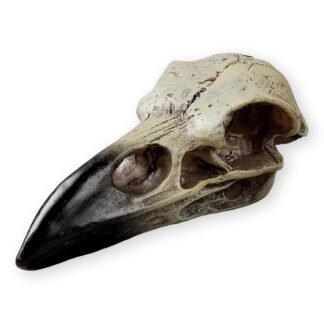 Halloween Raven Skull, Gothic Raven Decor Statue Animal Skull, Fake Bone Decor Crow Necklace Head Jewelry Pendant, Bird Skeleton Mask Crown, Witchy Gift for Men and Women (1 Pack)