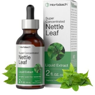 HorbÃ¤ach Nettle Leaf Extract Drops | 2 fl oz | Alcohol Free | Vegetarian Liquid Supplement | Non-GMO, Gluten Free Tincture