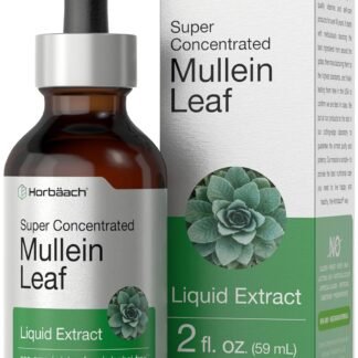 Horbäach Mullein Leaf Extract Drops | 2 fl oz | Alcohol Free Liquid Tincture | Vegetarian, Non-GMO & Gluten Free Herbal Supplement