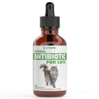 Natural Antibiotics for Cats | Cat Supplements | Cat Antibiotic | Cat Antibiotics | Cat Immune Support | Antibiotic for Cats | Cat Multivitamin | Multivitamin for Cats | 2 Pack:...