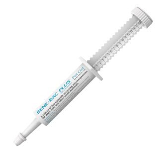 PetAg Bene-Bac Plus Pet Gel - 15 g Syringe - FOS & Probiotics for Dogs, Cats, Exotic & Wildlife Mammals