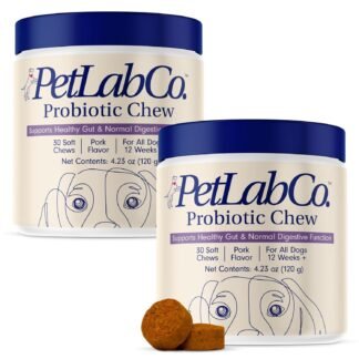 PetLab Co. Probiotics for Dogs, Support Gut Health, Occasional Diarrhea, Digestive Health & Seasonal Allergies - Pork Flavor - 30 Soft Chews - Packaging May Vary (Value 2-Pack)