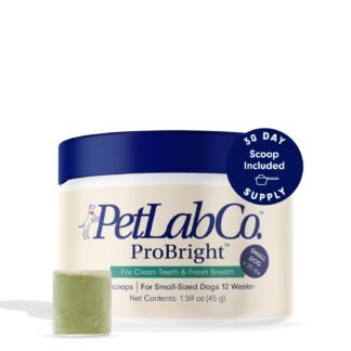 PetLab Co. ProBright Dental Powder - Dog Breath Freshener - Teeth Cleaning Made Easy – Targets Tartar & Bad Breath - Formulated for Small Dogs - Packaging May Vary