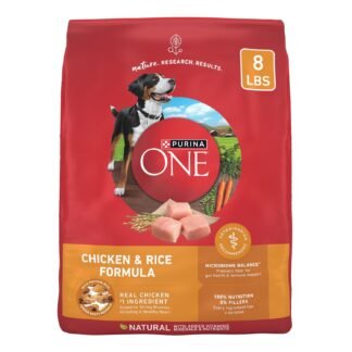 Purina ONE Chicken and Rice Formula Dry Dog Food - 8 lb. Bag
