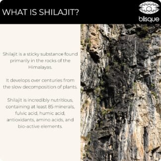 Blisque – Himalayan Shilajit Resin Mineral Drops | Pure, Natural, Organic | for Detox, Cleanse, Immune Support, Brain Booster, and Energy | Contains Fulvic Acid and Trace...