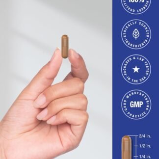 Horbäach PQQ Supplement 40 mg | 120 Capsules | Maximum Strength | Non-GMO and Gluten Free Supplement | Pyrroloquinoline Quinone Disodium Salt