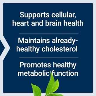 Life Extension Decaffeinated Mega Green Tea Extract – Polyphenol-Rich, Cell Health, Heart Health, Brain Health, Antioxidant Protection – Non-GMO, Gluten-Free, Vegetarian – 100...