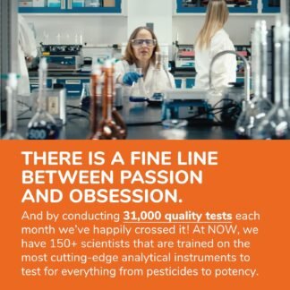 Now Supplements, Grape Seed Extract, Maximum Strength 500 mg (a Highly Concentrated Extract with a Minimum of 90% Polyphenols), 90 Veg Capsules