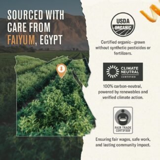 Numi Organic Moroccan Mint Tea, 18 Herbal Tea Bags, Microplastic Free, Antioxidants for Calm and Clarity