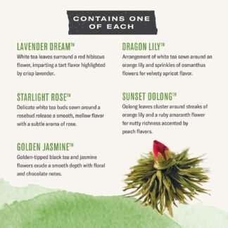 Numi Organic Tea Dancing Leaves Flowering Tea Gift Set, 5 Tea Blossoms with 16 Ounce Glass Teapot