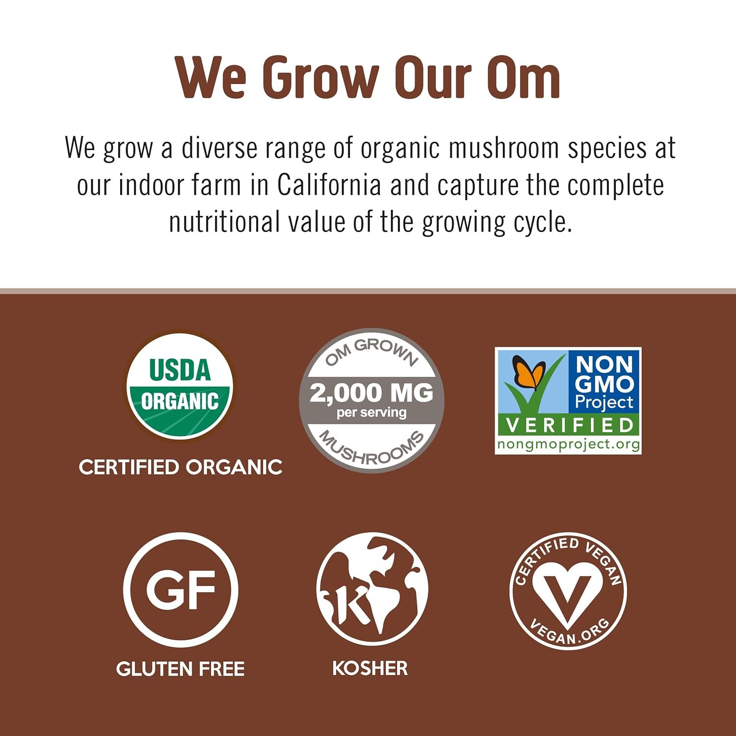 OM MUSHROOM SUPERFOOD Coffee Blend Organic Arabica with Lions Mane Cordyceps Reishi Turkey Tail Ginkgo Biloba Supports Energy Focus Mental Clarity Single Serve - lunas-mystic-emporium.com OM MUSHROOM SUPERFOOD Coffee Blend – Organic Arabica with Lion’s Mane, Cordyceps, Reishi, Turkey Tail & Ginkgo Biloba – Supports Energy, Focus & Mental Clarity – Single Serve...