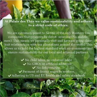 Palais des Thés Green Iced Tea - Organic Summer Fizz Blend with Lime, Ginger, Cardamom & Cinnamon - 4 XL Pouches - Serves 2 Iced Tea Carafes