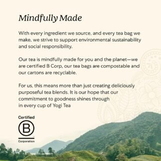 Yogi Tea - Kava Stress Relief (6 Pack) - Eases Tension and Promotes Relaxation - Caffeine Free - 96 Herbal Tea Bags