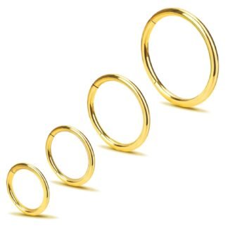 2Pcs Titanium Nose Rings 20G 18G 16G Nose Hoops Septum Clicker Hinged Segment Ring Cartilage Helix Tragus Conch Daith Rook Nostril Hoop Piercing Earring, Diameter 5mm to 12mm...