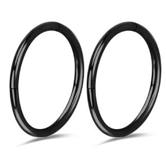 2Pcs Titanium Nose Rings 20G 18G 16G Nose Hoops Septum Clicker Hinged Segment Ring Cartilage Helix Tragus Conch Daith Rook Nostril Hoop Piercing Earring, Diameter 5mm to 12mm...