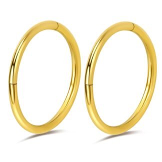 2Pcs Titanium Nose Rings 20G 18G 16G Nose Hoops Septum Clicker Hinged Segment Ring Cartilage Helix Tragus Conch Daith Rook Nostril Hoop Piercing Earring, Diameter 5mm to 12mm...