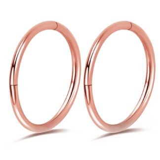 2Pcs Titanium Nose Rings 20G 18G 16G Nose Hoops Septum Clicker Hinged Segment Ring Cartilage Helix Tragus Conch Daith Rook Nostril Hoop Piercing Earring, Diameter 5mm to 12mm...