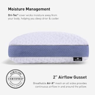 Bedgear Balance Performance Pillow – 2.0 - Moisture Wicking Bed Pillow for All Sleep Positions - Medium Firmness Bed Pillow - Washable Removable Cover – 20" W x 26" L x 5.75" H