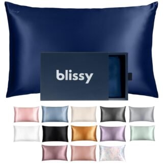 Blissy Silk Pillowcase - 100% Pure Mulberry Silk - 22 Momme 6A High-Grade Fibers - Silk Pillow Cover for Hair & Skin - Regular, Queen & King (Blue, Standard)