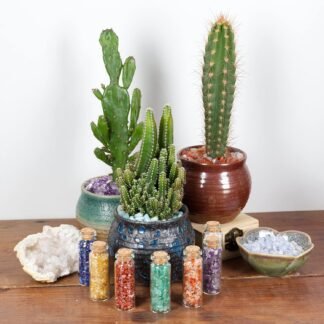 Cherry Tree Collection 1/2 Pound Polished Tumbled Gemstone Chips, Pebbles, Crystal Chips Bulk for Jewelry Making, Healing, Plants, Succulents, Aquariums, Decoration, Chakra...