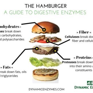 Eat E-Z Digestive Enzymes – Broad-Spectrum Enzyme Blend for Proteins, Carbohydrates, Fats, Dairy & Fiber – Supports Digestive Comfort & Occasional Bloating – 30 Capsules