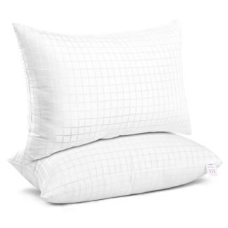 EIUE 2 Pack 20x30 Inch Bed Pillows, Soft Supportive Low Profile Pillows for Sleeping, Queen,White