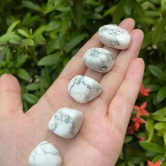 GAF TREASURES 5 Pcs White Howlite Tumbled Stones, Polished Natural White Howlite Gemstone, White Howlite Healing Crystals (White Howlite)