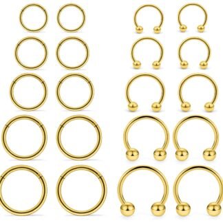 Hoeudjo 16G Stainless Steel Hinged Clicker Segment Septum Rings Horseshoe Earring Nose Lip Ring Hoop Cartilage Tragus Daith Helix Sleeper Earrings Body Piercing Jewelry 8mm-16mm