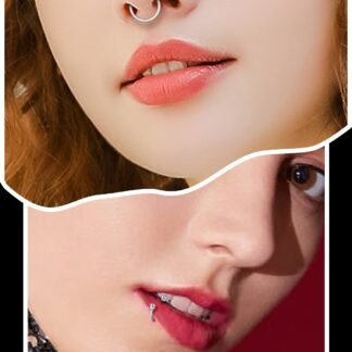 Hoeudjo 16G Stainless Steel Hinged Clicker Segment Septum Rings Horseshoe Earring Nose Lip Ring Hoop Cartilage Tragus Daith Helix Sleeper Earrings Body Piercing Jewelry 8mm-16mm