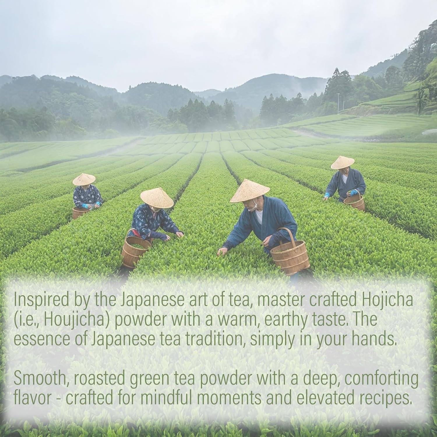 Hojicha Powder Japanese-Style for Latte - 212oz Low Caffeine Roasted Matcha Green Tea Houjicha Powder | Toasty Aroma Less Bitterness | Brew Below 80°C 175°F - lunas-mystic-emporium.com Hojicha Powder Japanese-Style for Latte - 2.12oz Low Caffeine Roasted Matcha Green Tea Houjicha Powder | Toasty Aroma Less Bitterness | Brew Below 80°C / 175°F