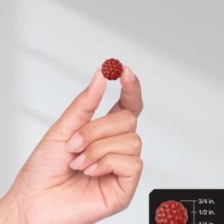 Horbaach Sambucus Black Elderberry Gummies | 60 Count | with Zinc and Vitamin C | Vegan, Non-GMO, Gluten Free Extract for Adults | Berry Flavor | by Berkshire Labs