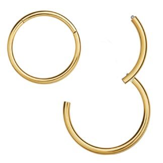 MissNity 316L Surgical Steel Hinged Nose Rings Hoop 20G 18G 16G 14G, Diameter 6mm to 10mm, Color Gold - Rose Gold - Silver - Black - Rainbow