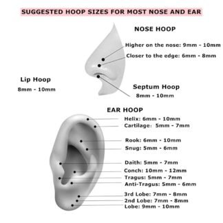 MissNity 316L Surgical Steel Hinged Nose Rings Hoop 20G 18G 16G 14G, Diameter 6mm to 10mm, Color Gold - Rose Gold - Silver - Black - Rainbow