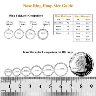 MissNity 316L Surgical Steel Hinged Nose Rings Hoop 20G 18G 16G 14G, Diameter 6mm to 10mm, Color Gold - Rose Gold - Silver - Black - Rainbow