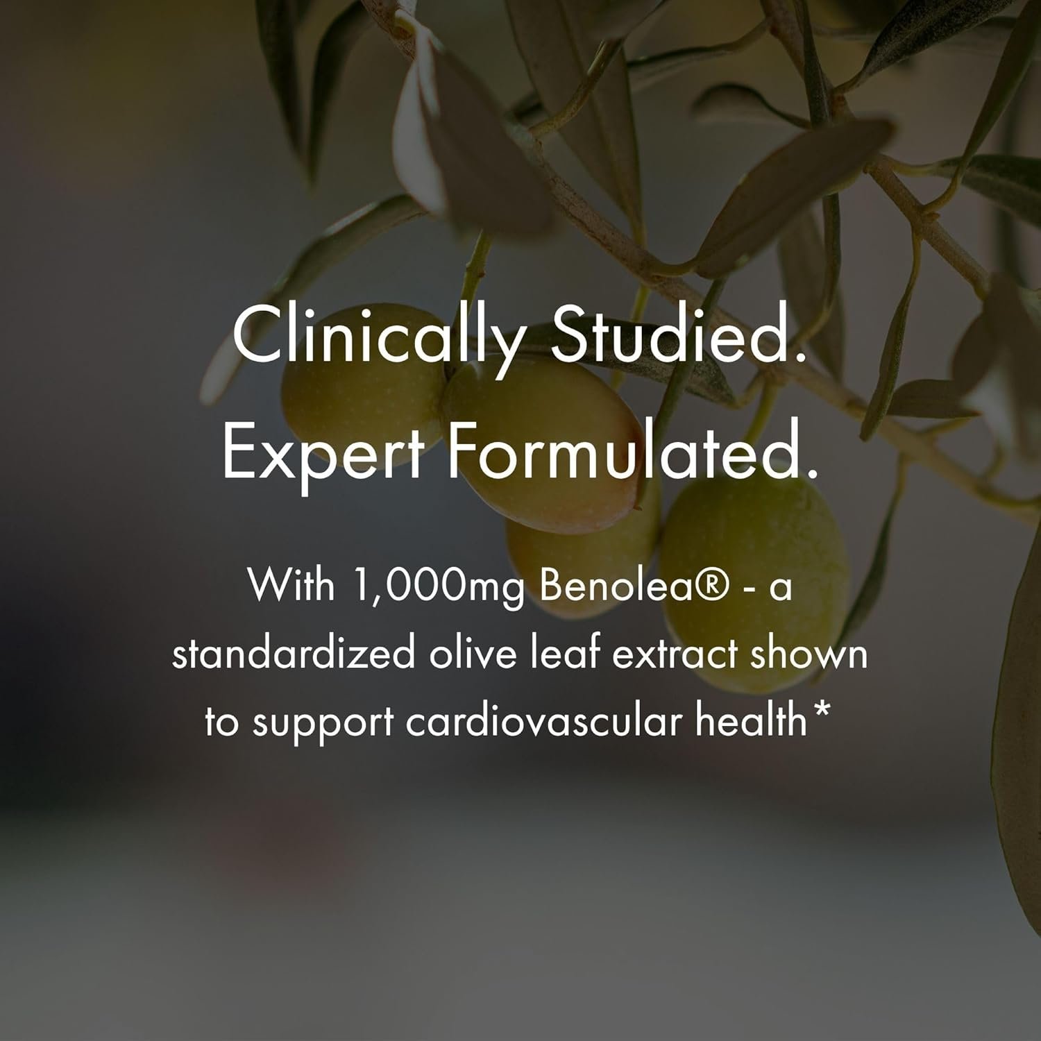 NAOMI BP Advanced Potent Ingredients for Blood Flow and Circulation Endothelial Function Supports Cardiovascular and Arterial Health 1000mg Olive Leaf Extract 180mcg - lunas-mystic-emporium.com NAOMI BP Advanced, Potent Ingredients for Blood Flow and Circulation, Endothelial Function, Supports Cardiovascular and Arterial Health, 1000mg Olive Leaf Extract, 180mcg...