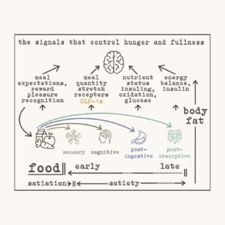 No Worries GLP-1 Support Beverage, Tart Cherry Pineapple, Ready to Drink GLP1 Support with Chicory Root, 8g of fiber, Magnesium, Calcium, 2g of net carbs, Lightly Sparkling,...