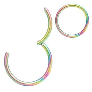 ORANGELOVE Hypoallergenic Nose Rings 20G 18G 16G 14G 12G 10G 8G 316l Surgical Steel Septum Jewelry Hinged Segment Ring Body Piercing Nose Hoop Lip Rings Nose Helix Cartilage...