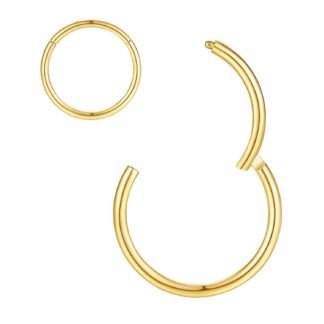 ORANGELOVE Hypoallergenic Nose Rings 20G 18G 16G 14G 12G 10G 8G 316l Surgical Steel Septum Jewelry Hinged Segment Ring Body Piercing Nose Hoop Lip Rings Nose Helix Cartilage...