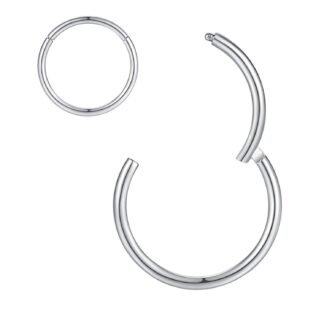 ORANGELOVE Hypoallergenic Nose Rings 20G 18G 16G 14G 12G 10G 8G 316l Surgical Steel Septum Jewelry Hinged Segment Ring Body Piercing Nose Hoop Lip Rings Nose Helix Cartilage...