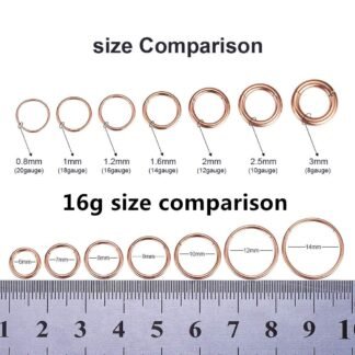 ORANGELOVE Hypoallergenic Nose Rings 20G 18G 16G 14G 12G 10G 8G 316l Surgical Steel Septum Jewelry Hinged Segment Ring Body Piercing Nose Hoop Lip Rings Nose Helix Cartilage...